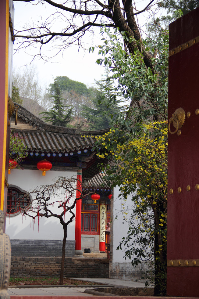 DPP_0033_副本.jpg