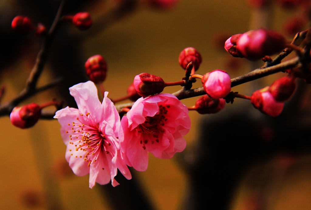 照片 250.jpg
