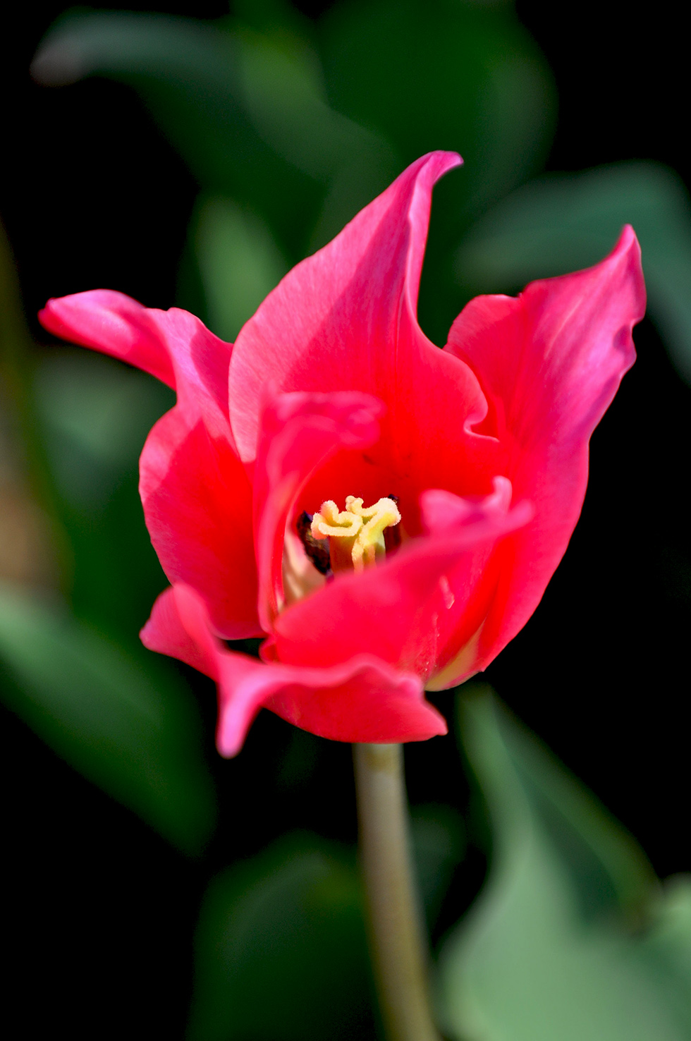 DSC_2501.jpg