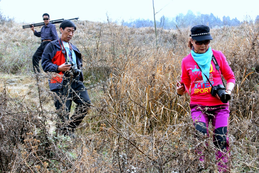 1-_MG_4407.JPG