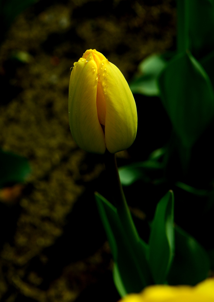 yDSC_8508.jpg