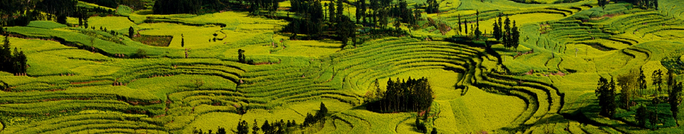 未标题_全景图1-1-2ab.jpg