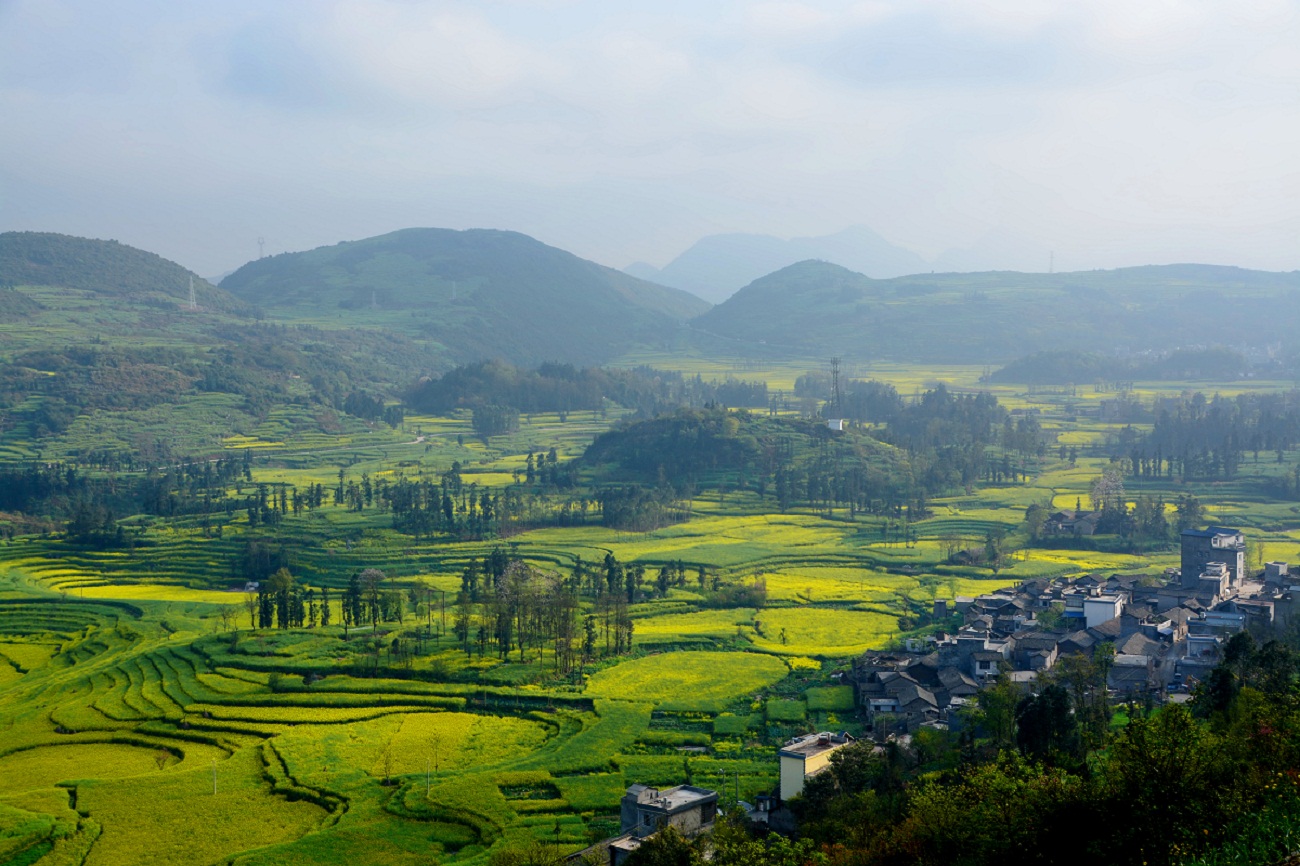 DSC_0534-3.jpg