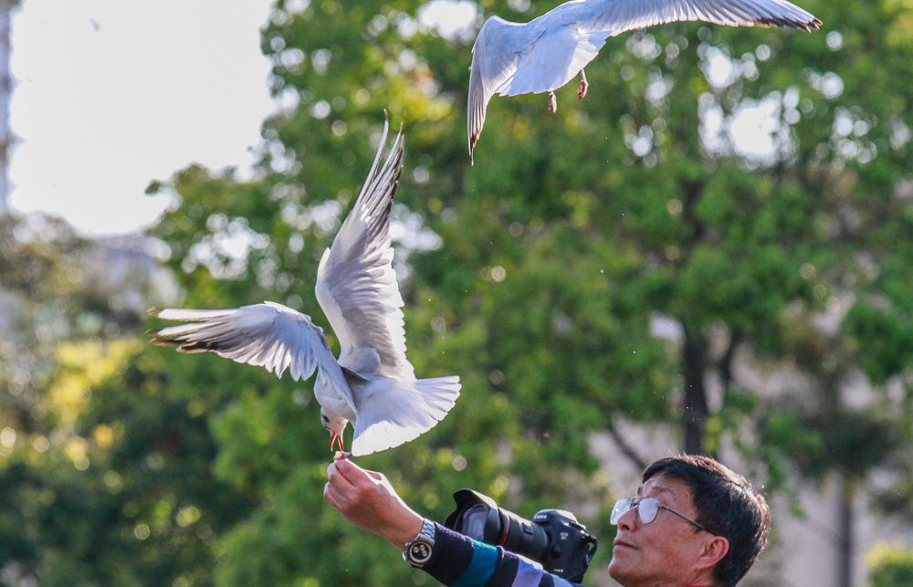 20150306-_MG_8400_副本.jpg