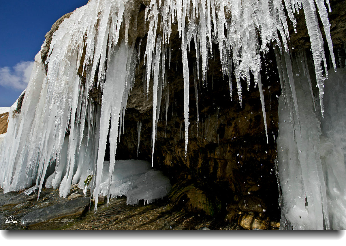 _DSC5011_13858.jpg