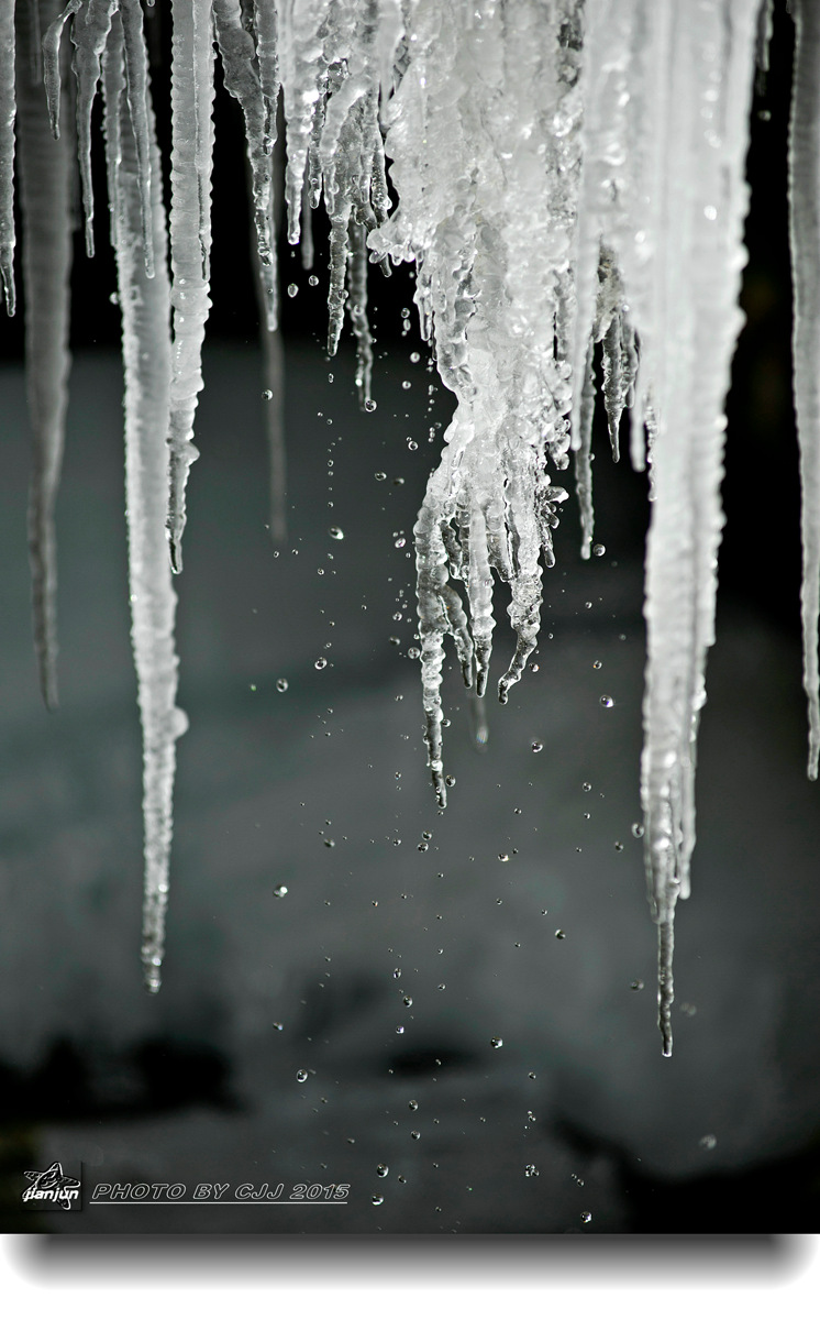_DSC5057_13903.jpg