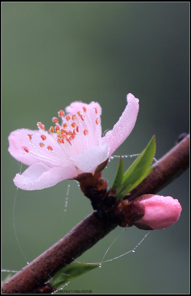 IMG_6926.jpg