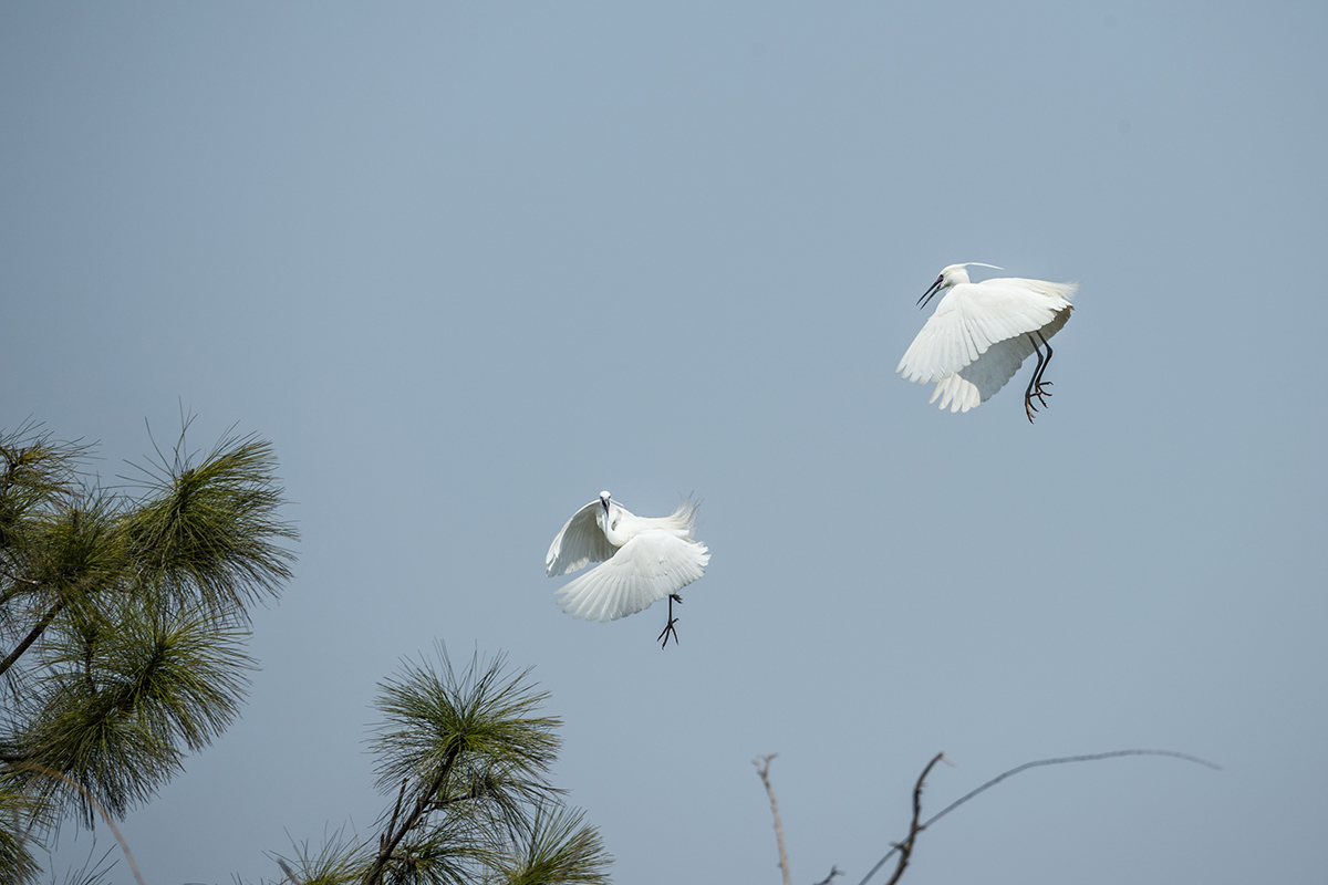 DSC_2258.jpg