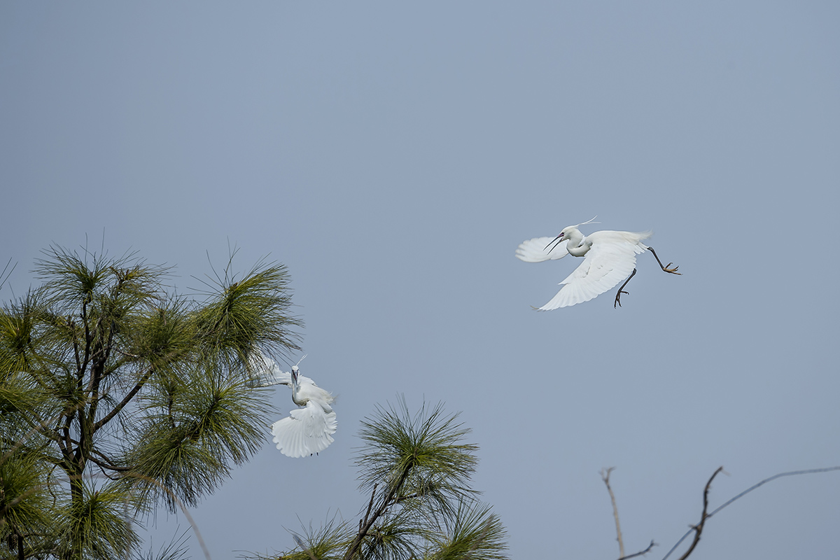 DSC_2260.jpg