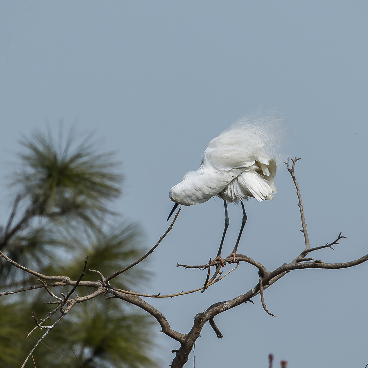 DSC_3124.jpg