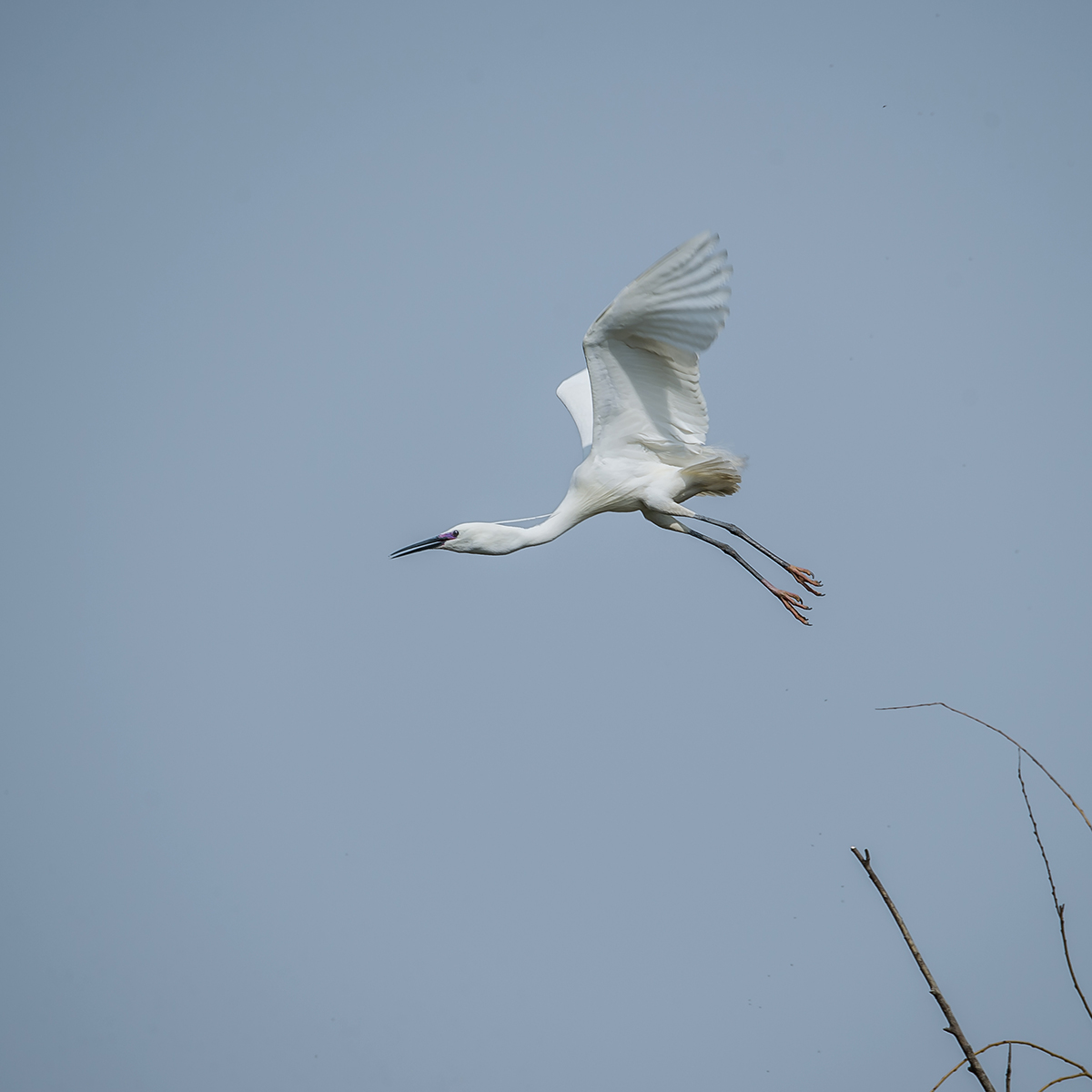 DSC_3135.jpg