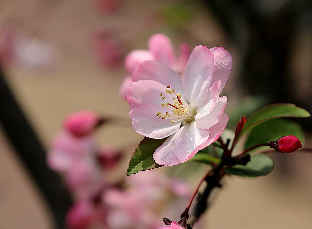 IMG_4928_副本.jpg