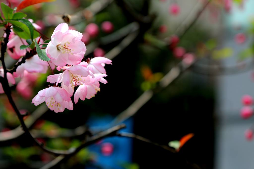 IMG_4936_副本.jpg
