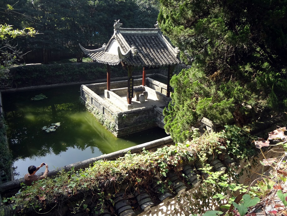DSC01423-1.jpg