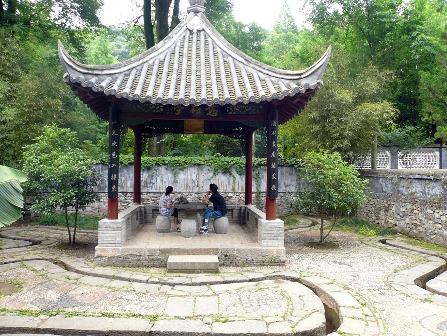 P1020452-1.jpg