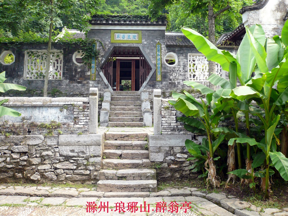 P1020453-1.jpg