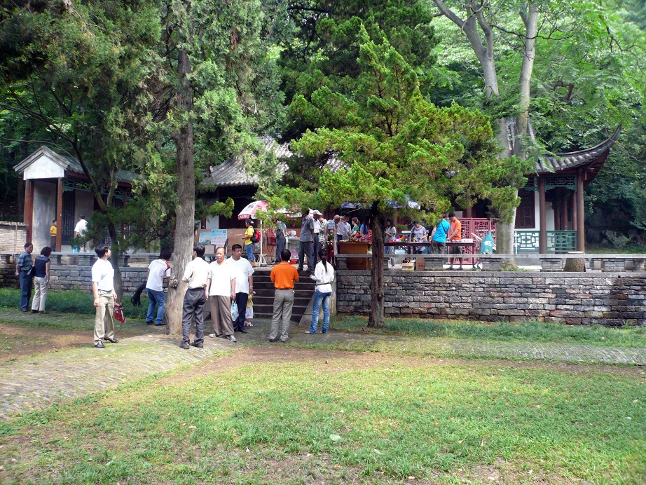 P1020469-1.jpg