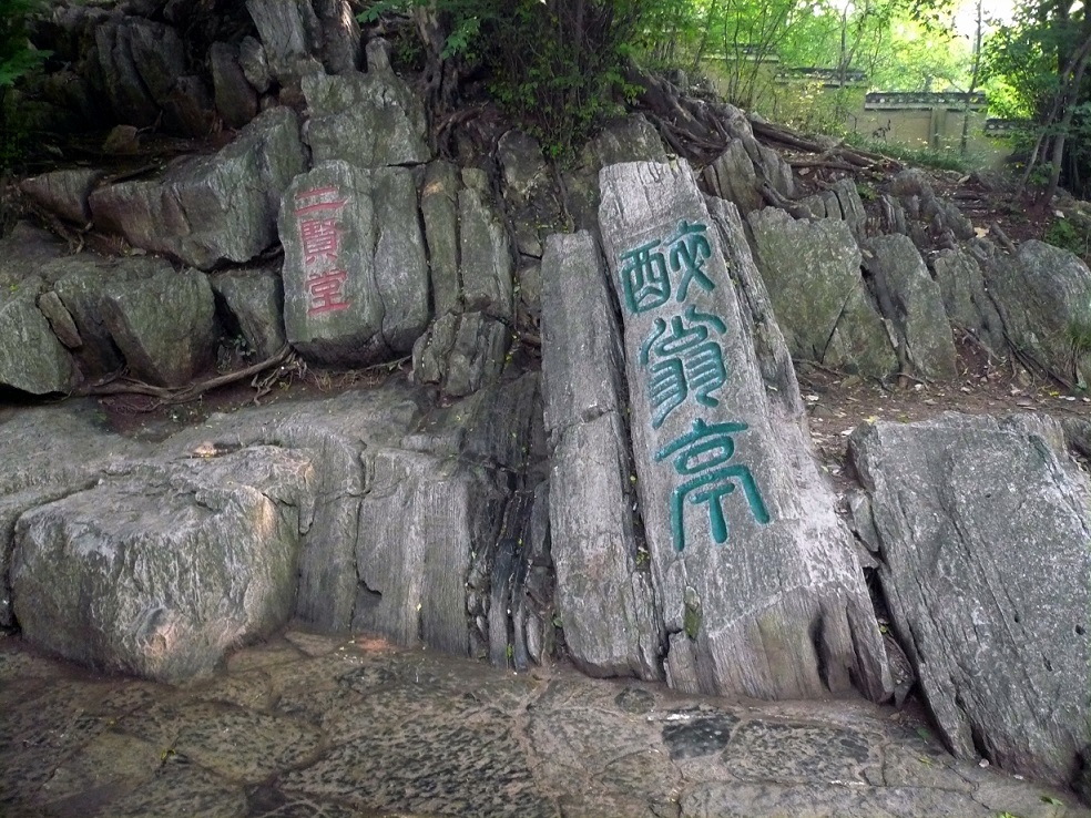 P1020678-1.jpg
