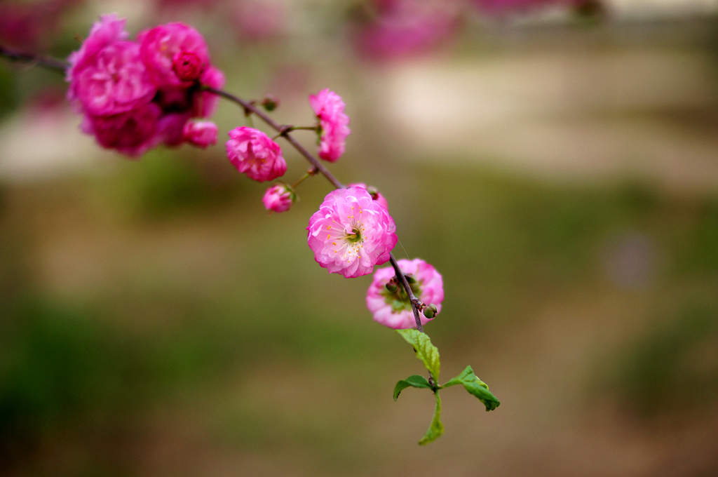 DSC01753_副本.jpg