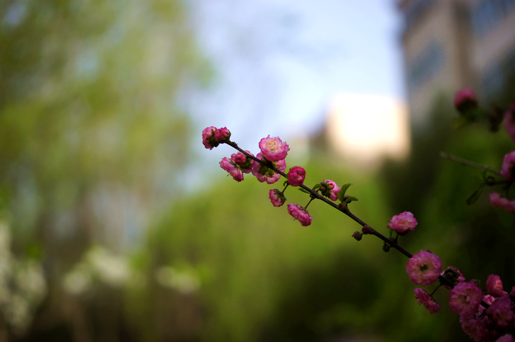 DSC01770_副本.jpg