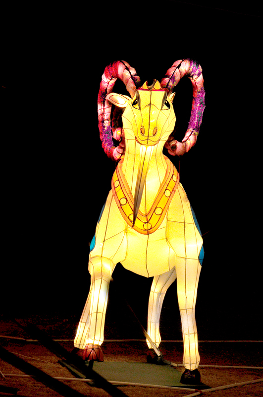 E 009.jpg