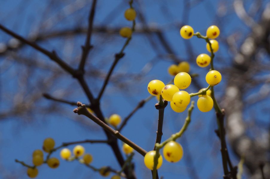 DSC01267_副本.jpg