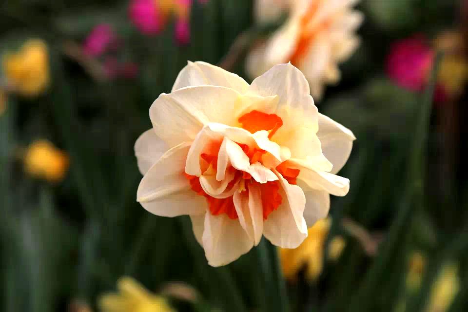 psb (12).jpg