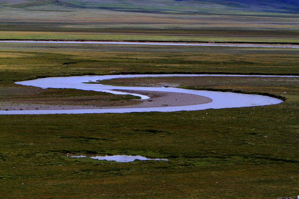 _MG_8262.JPG
