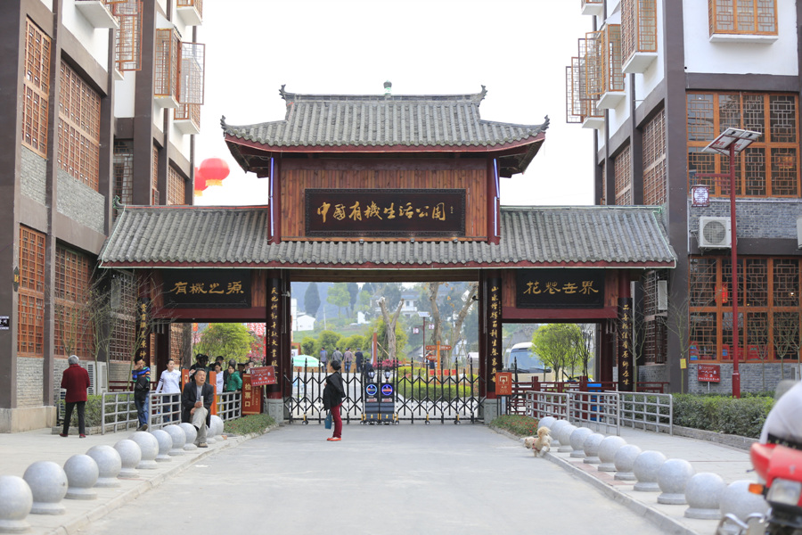 _K2A8373_看图王.jpg