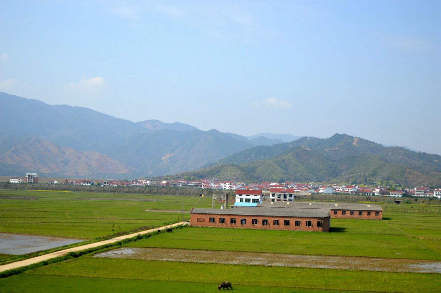 高铁风景-9.jpg