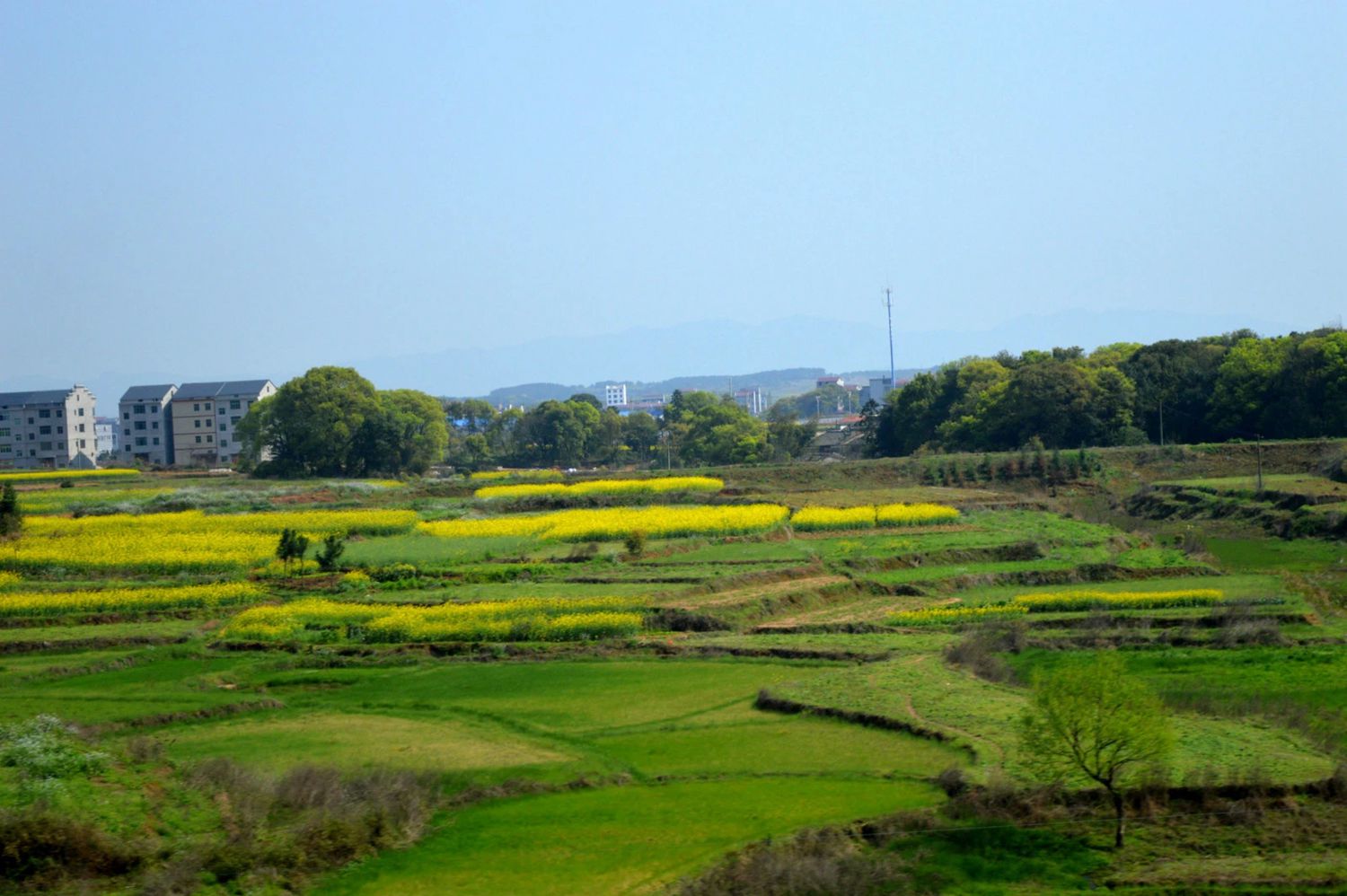 高铁风景-14.jpg