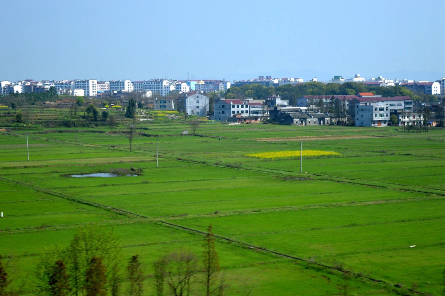 高铁风景-16.jpg