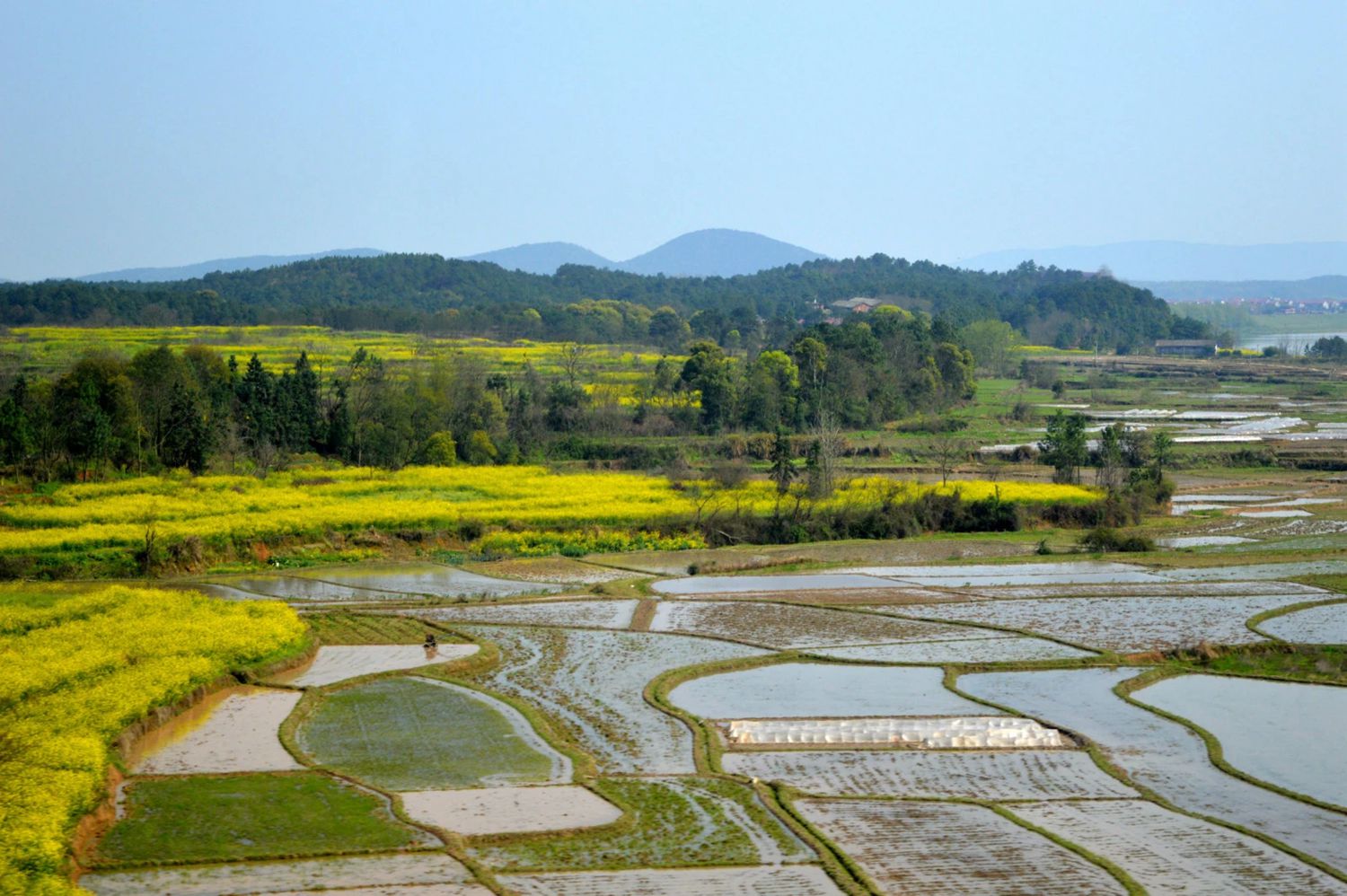 高铁风景-18.jpg