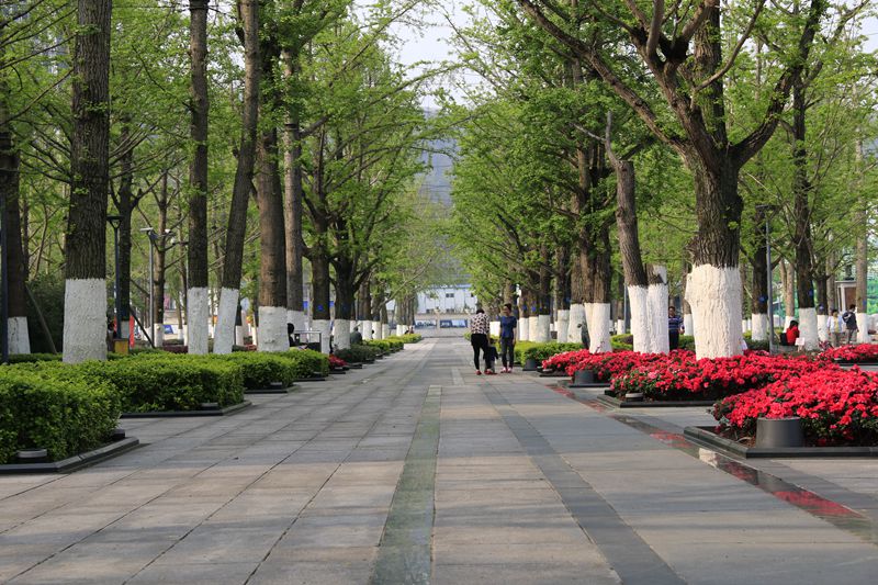 _MG_5331_副本.jpg