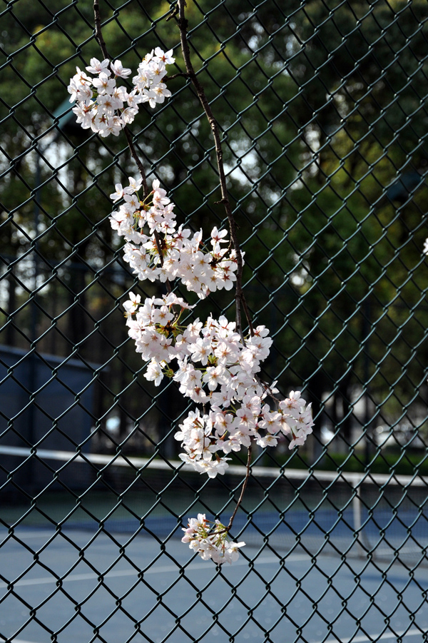 DSC_1143副本.jpg
