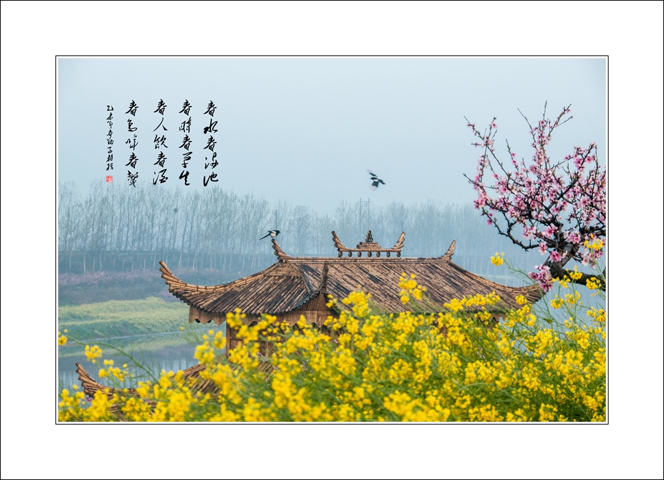 DSC_0057_副本.jpg