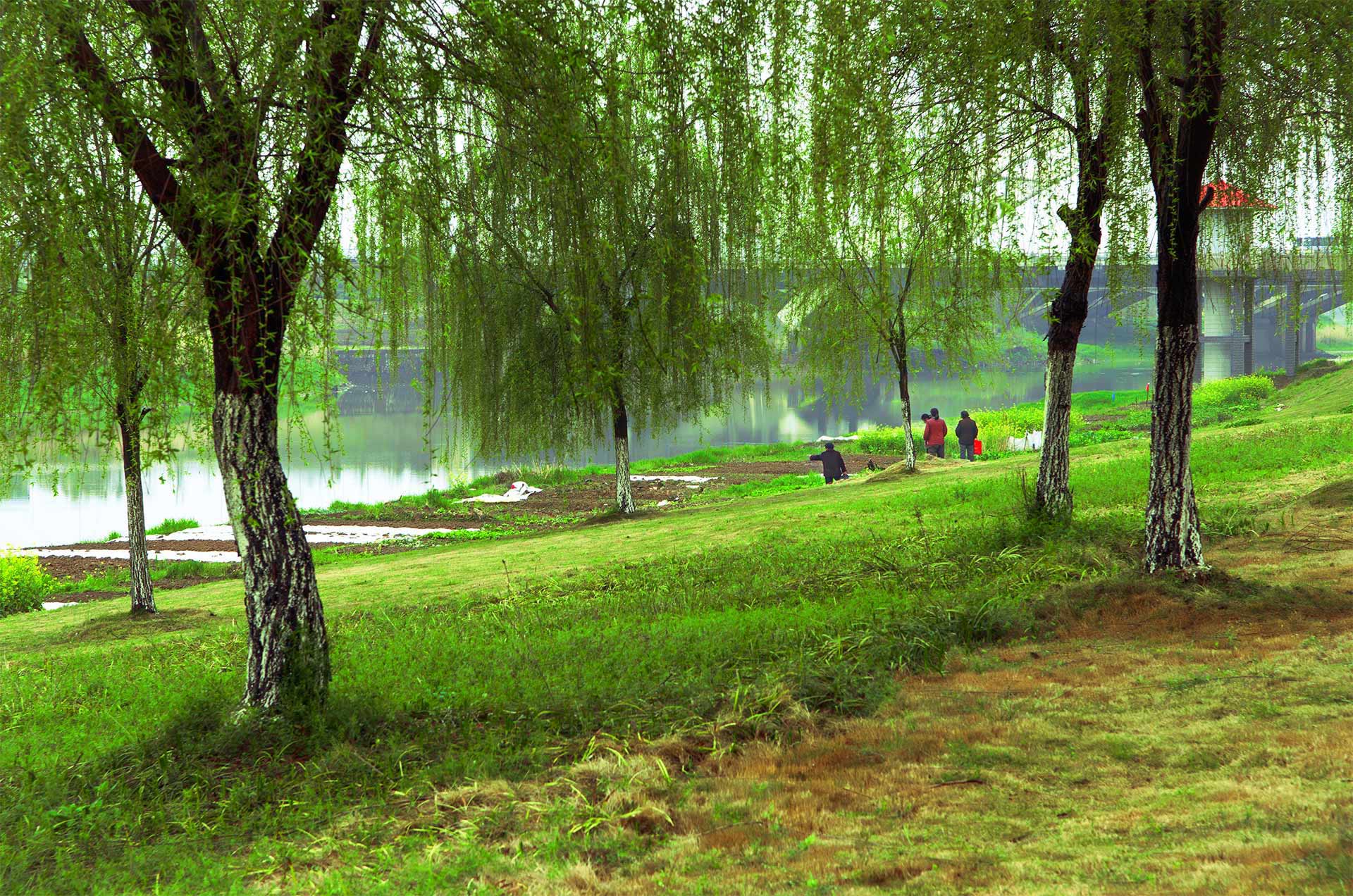 ““_DSC1574”为智能对象-1”为智能对象-1.jpg