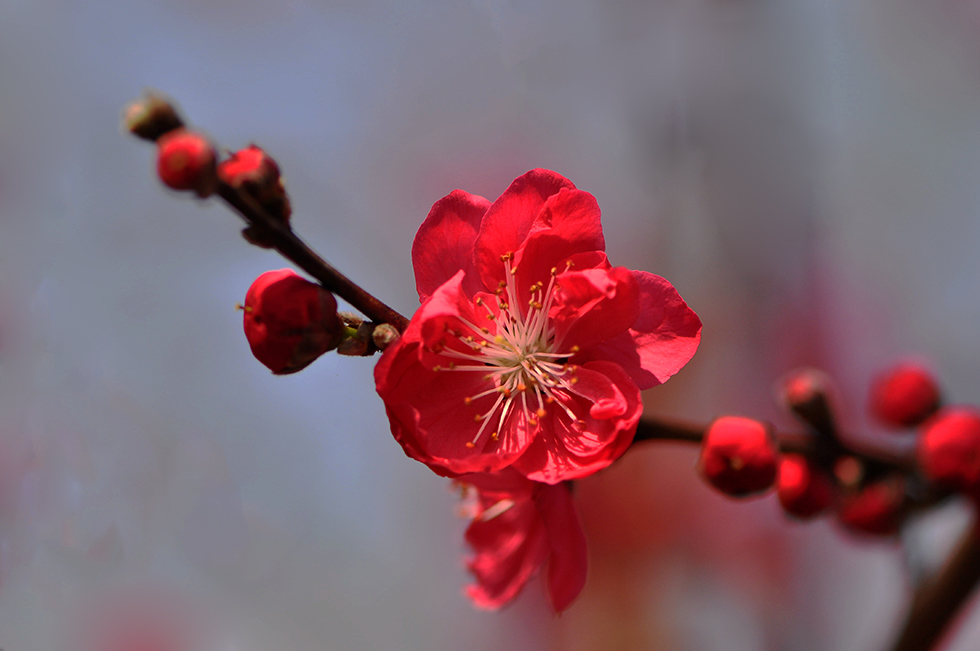 DSC_3028_副本.jpg