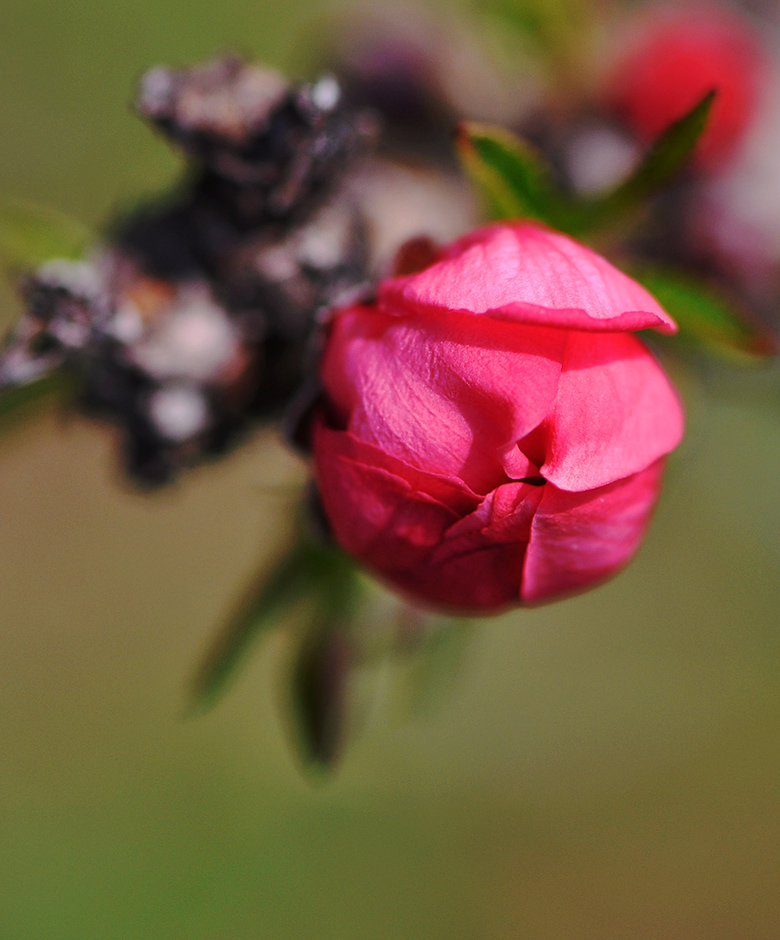 DSC_3139_副本.jpg