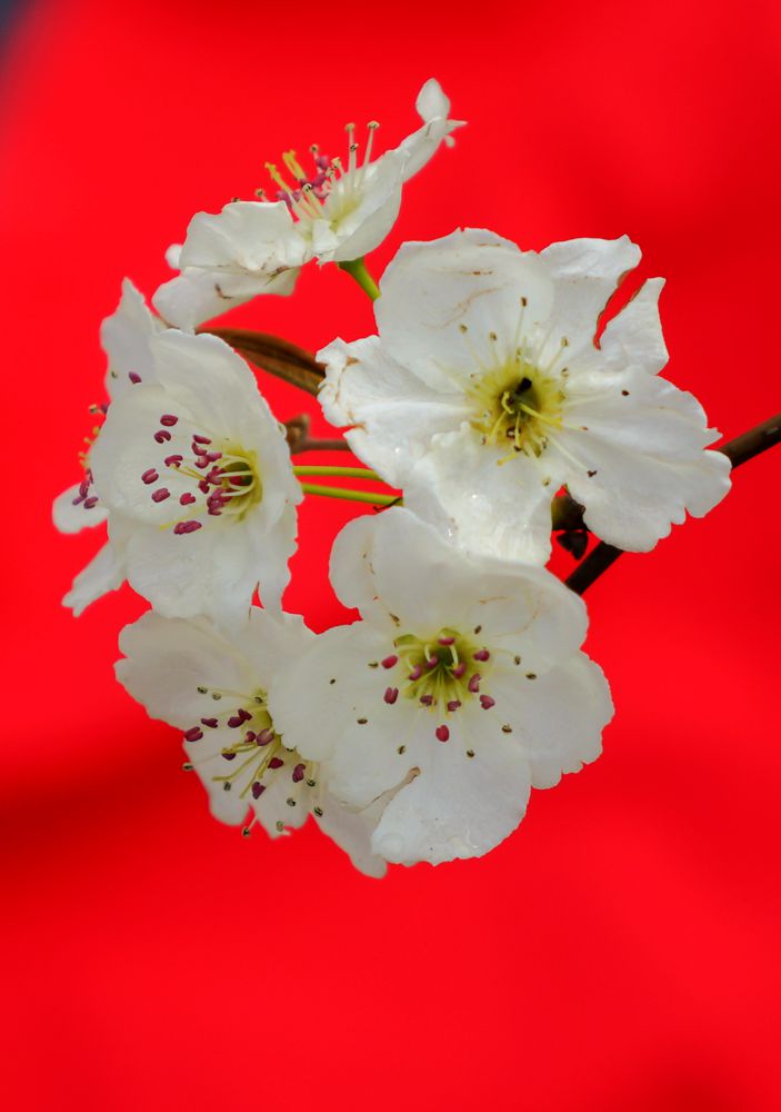 DSC01128_副本.jpg