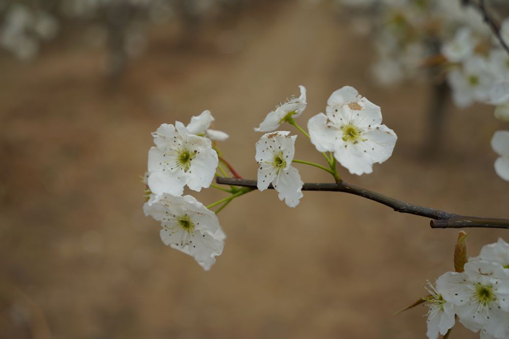 DSC01129_副本.jpg