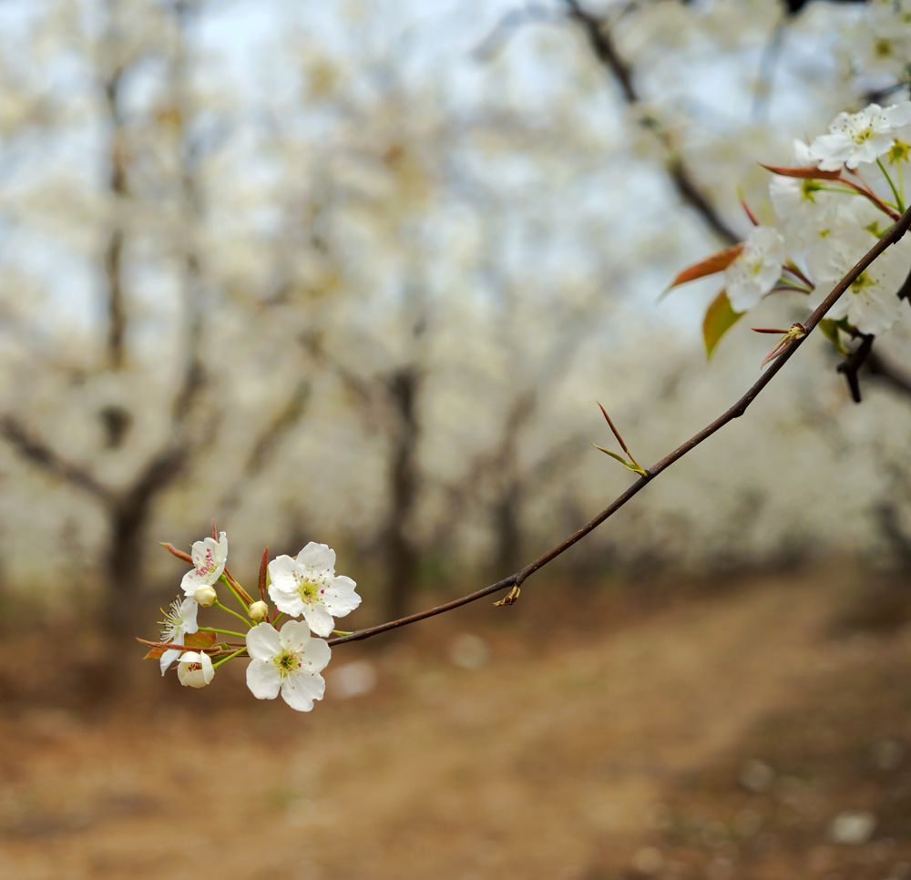DSC01132_副本.jpg