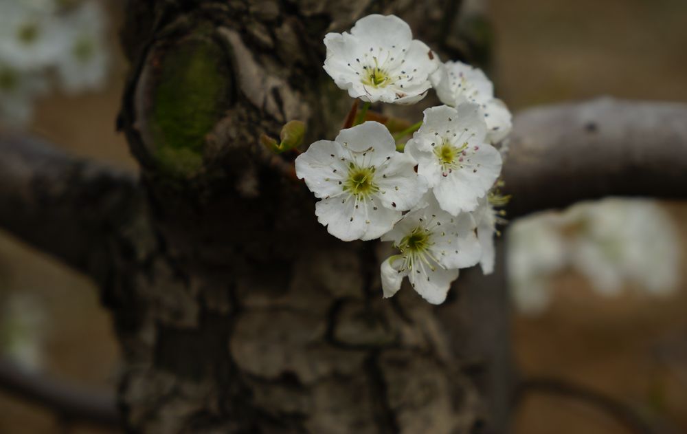 DSC01136_副本.jpg