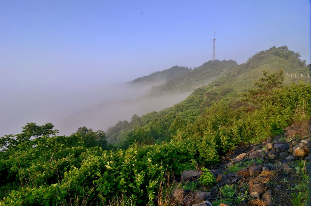 _DSC9755.jpg