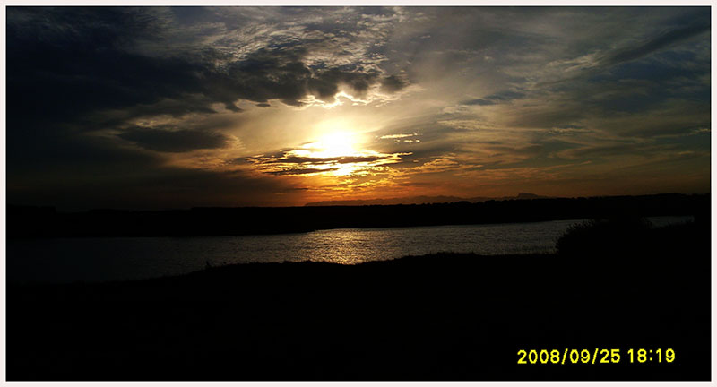 SL375140.JPG