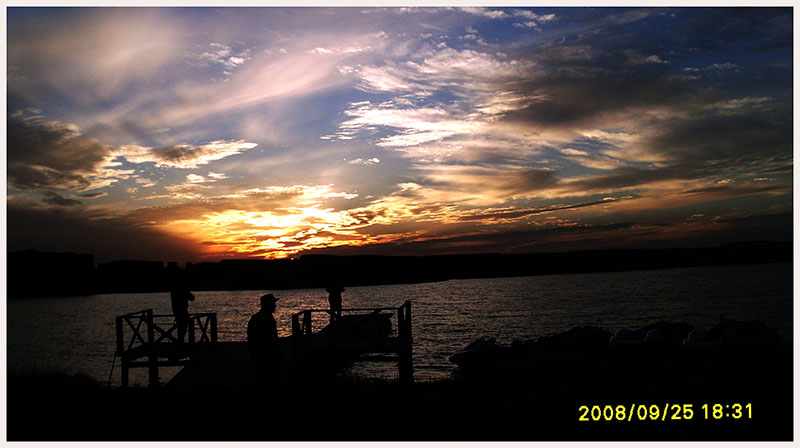 SL375170.JPG