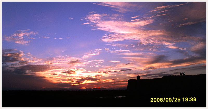 SL375185.JPG