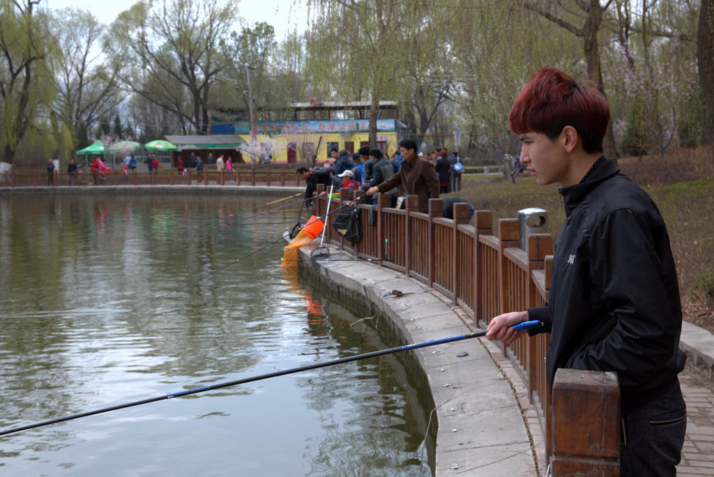 1-_T0A0949.jpg