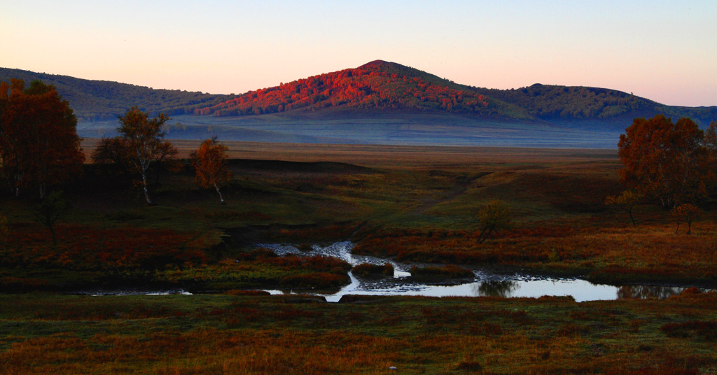 _MG_3578.JPG