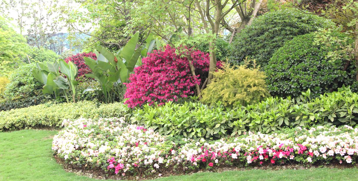 IMG_0735.JPG